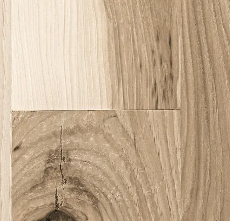 Hickory & Birch